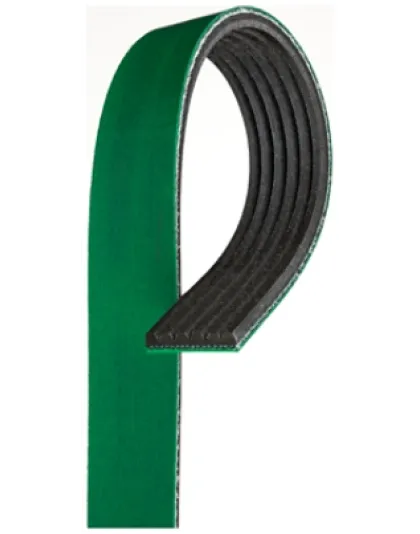 V-Ribbed Belts K08 1 3/32&quot; x 62 1/8&quot; | Part Number: K080615HD