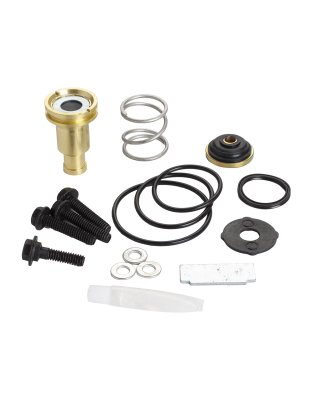 Purge Valve Assy Maint. Kit | Part Number: 5005037K